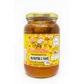 Mel Cerrado de Minas – 750g