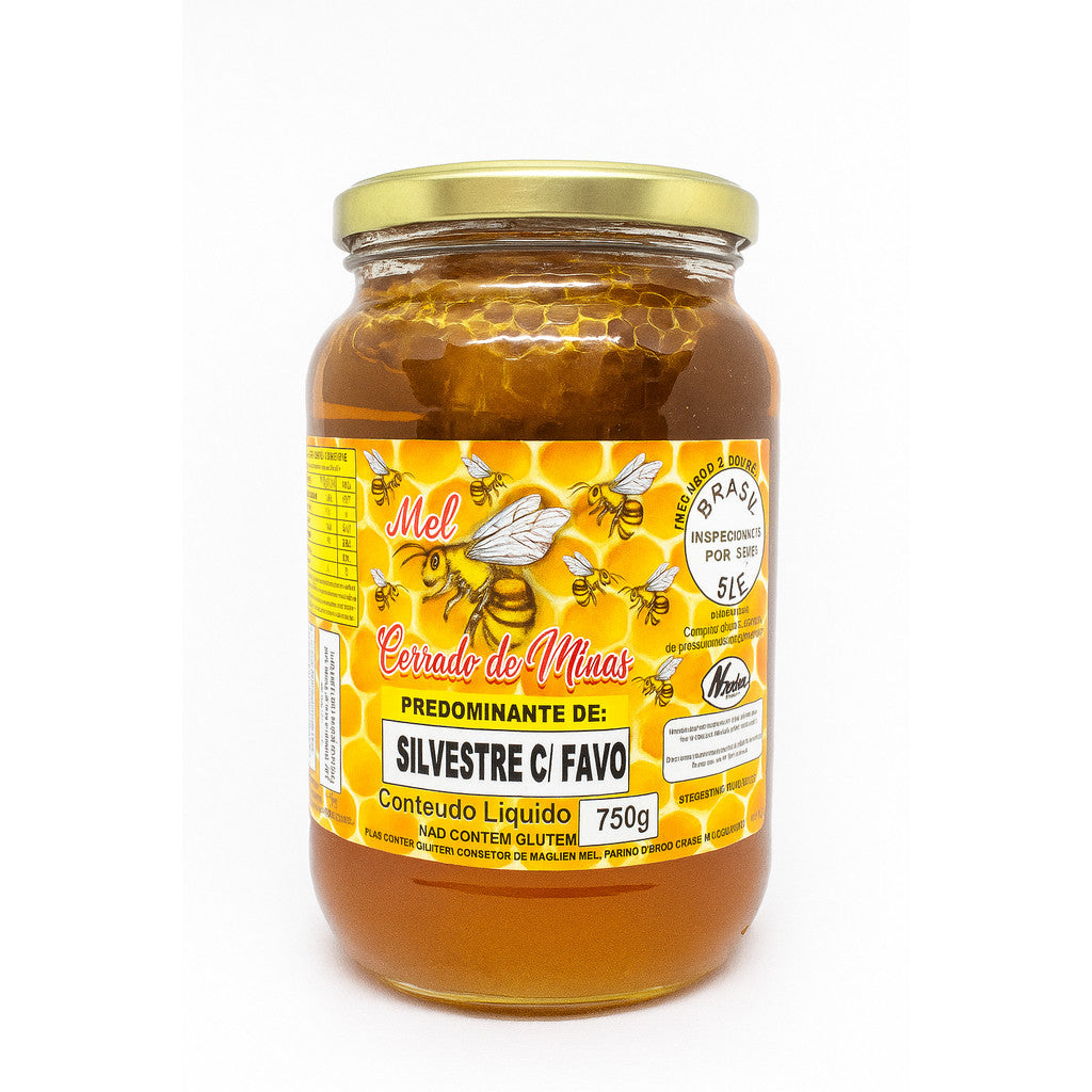 Mel Cerrado de Minas – 750g